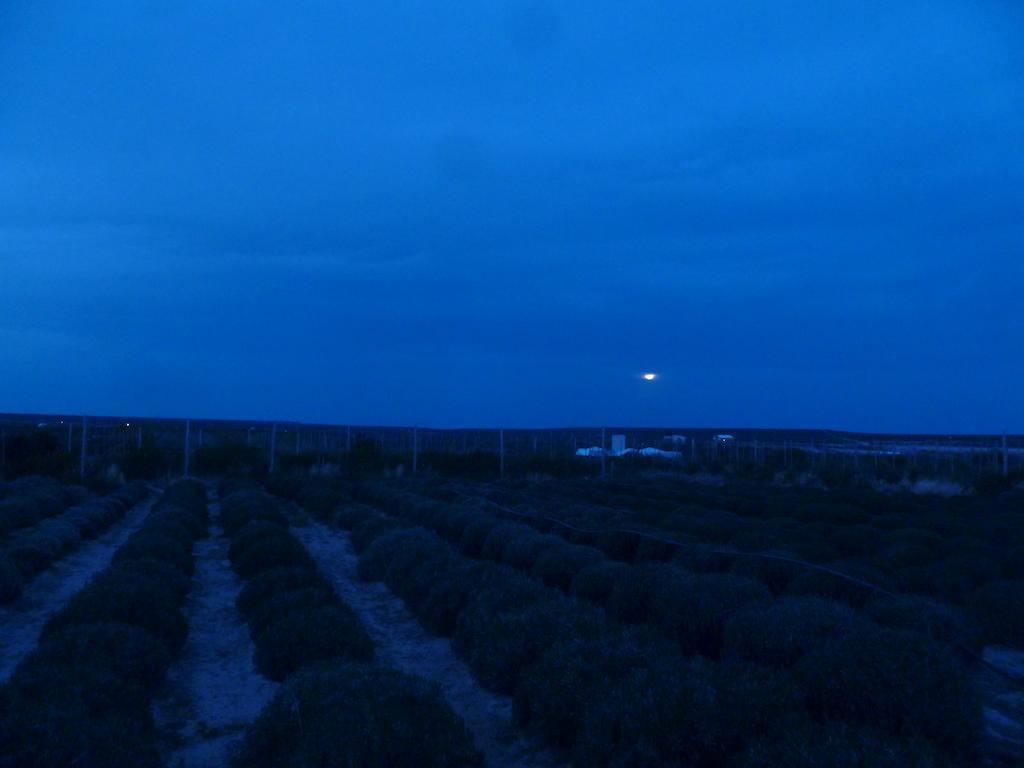 Vila La Calandria Casa De Campo Puerto Madryn Exteriér fotografie