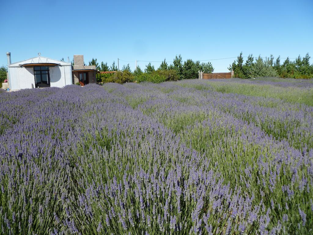 Vila La Calandria Casa De Campo Puerto Madryn Exteriér fotografie