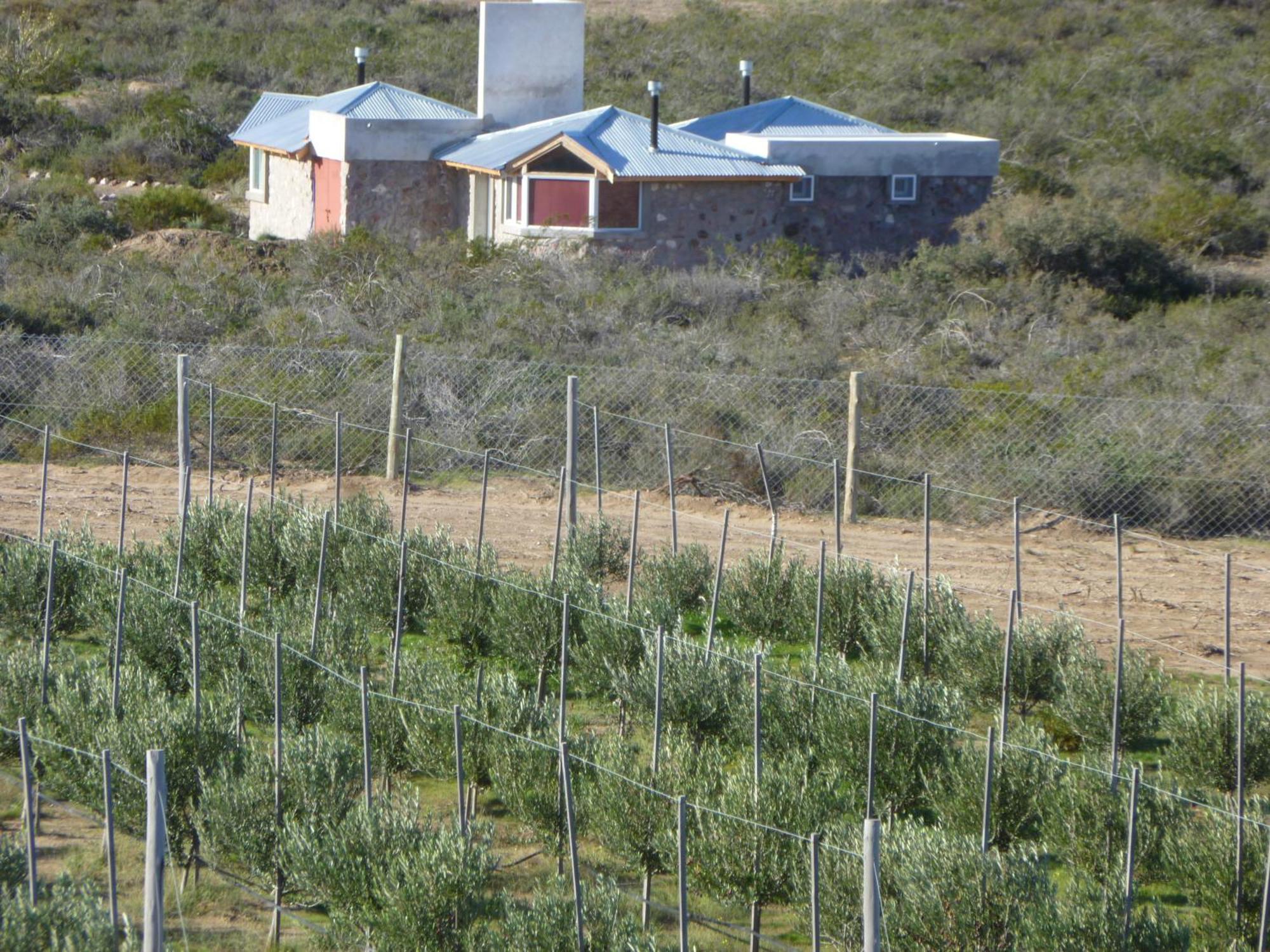 Vila La Calandria Casa De Campo Puerto Madryn Exteriér fotografie