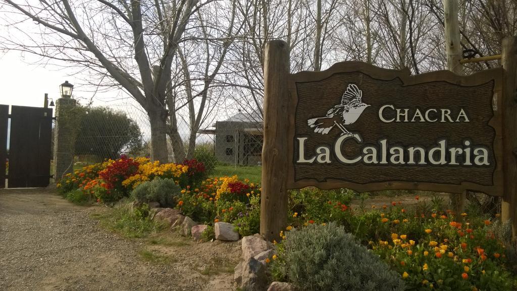 Vila La Calandria Casa De Campo Puerto Madryn Exteriér fotografie